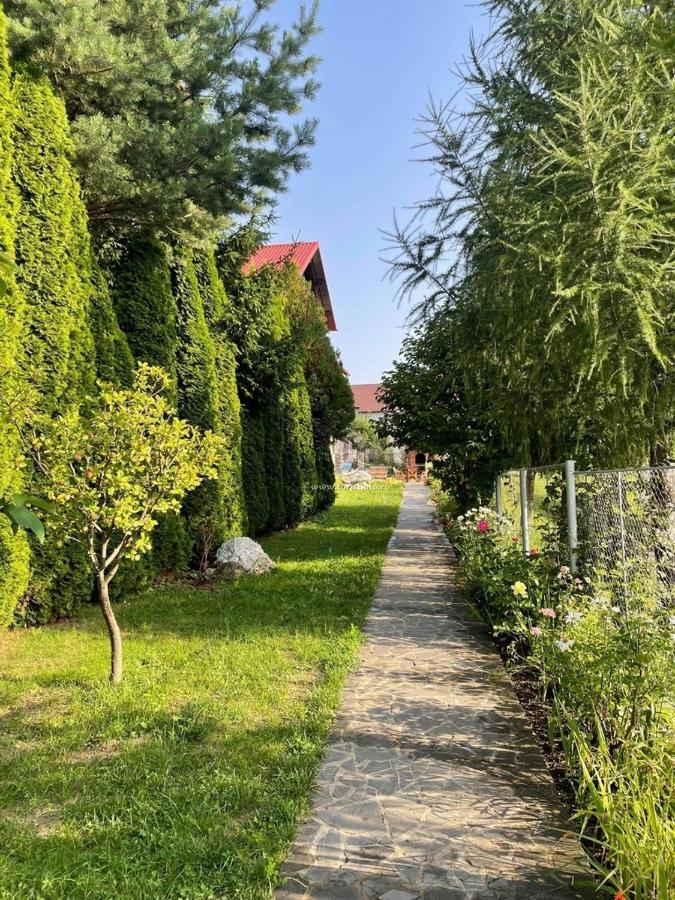 Vila Madisa Buşteni Exterior foto